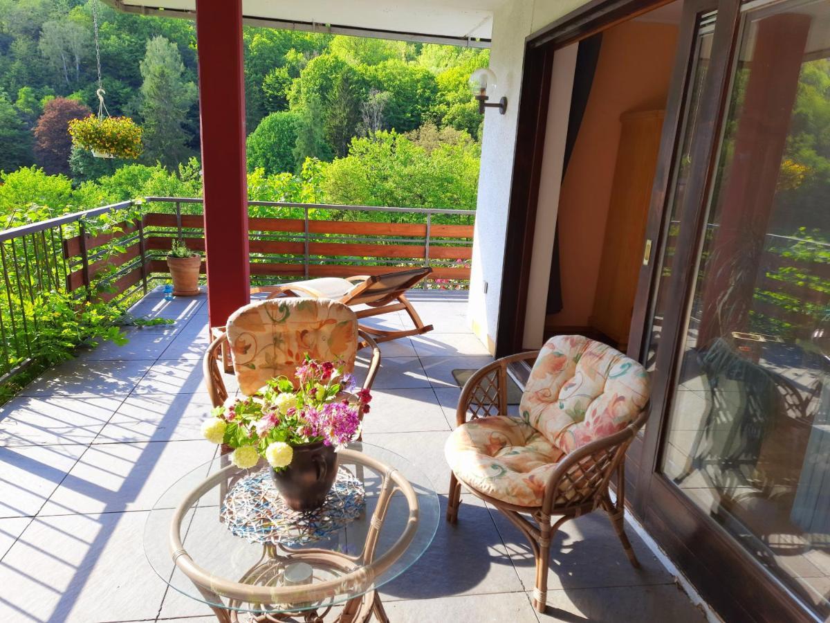 Ferienwohnung Rhododendron - Natur Pur Am Highwalk Rotenburg an der Fulda Ngoại thất bức ảnh
