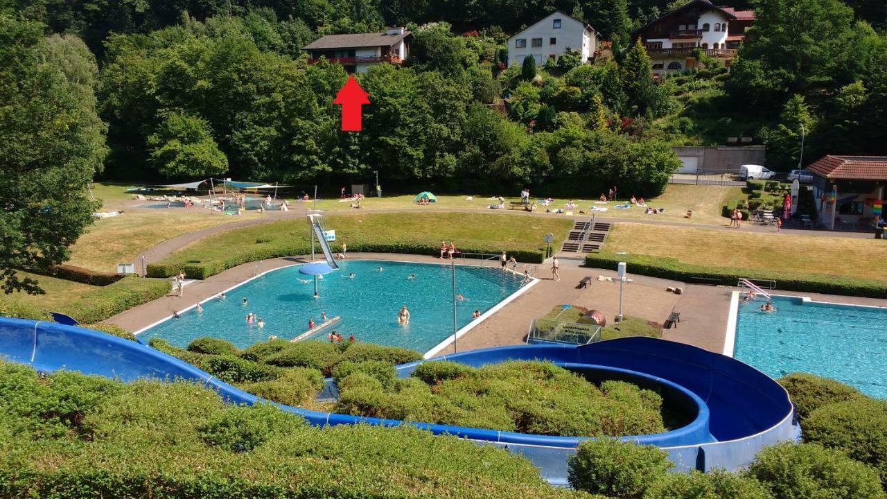 Ferienwohnung Rhododendron - Natur Pur Am Highwalk Rotenburg an der Fulda Ngoại thất bức ảnh