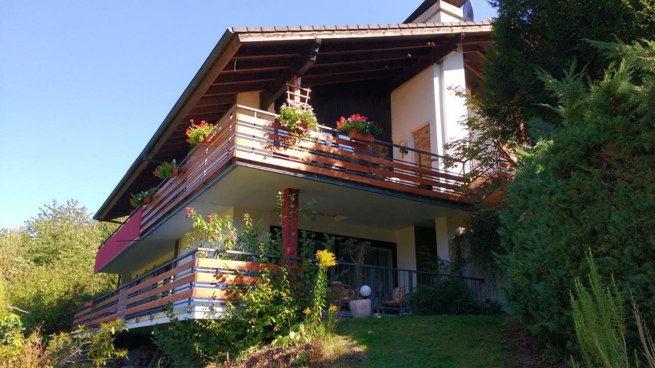 Ferienwohnung Rhododendron - Natur Pur Am Highwalk Rotenburg an der Fulda Ngoại thất bức ảnh