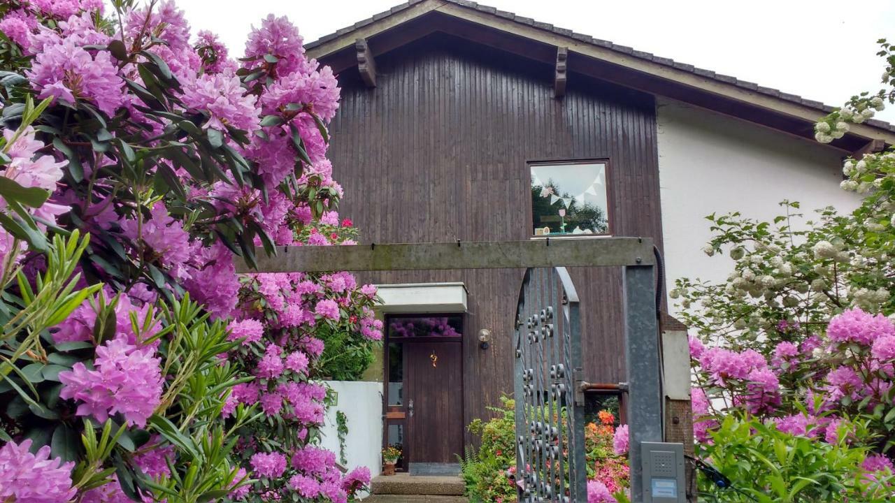 Ferienwohnung Rhododendron - Natur Pur Am Highwalk Rotenburg an der Fulda Ngoại thất bức ảnh
